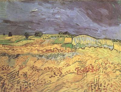 Vincent Van Gogh The Fields (nn04) France oil painting art